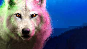 Turbo Games Terlengkap